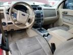 Lot #3040961472 2010 FORD ESCAPE XLT