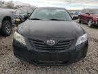 Lot #3027154304 2008 TOYOTA CAMRY LE