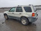 Lot #3037900277 2006 FORD ESCAPE XLT