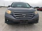 Lot #3023407323 2014 HONDA CR-V EX