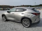 Lot #3023824880 2023 LEXUS NX 350H