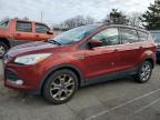 Lot #3025838306 2015 FORD ESCAPE SE