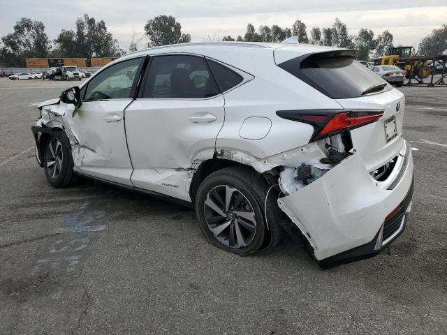 2019 LEXUS NX 300H JTJBJRBZ8K2100034