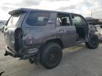 Lot #3044915011 2023 TOYOTA 4RUNNER SE