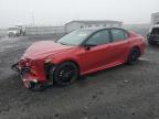 Top Destinations for Shipping Cars from the USA