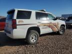 Lot #3030797430 2016 CHEVROLET TAHOE SPEC