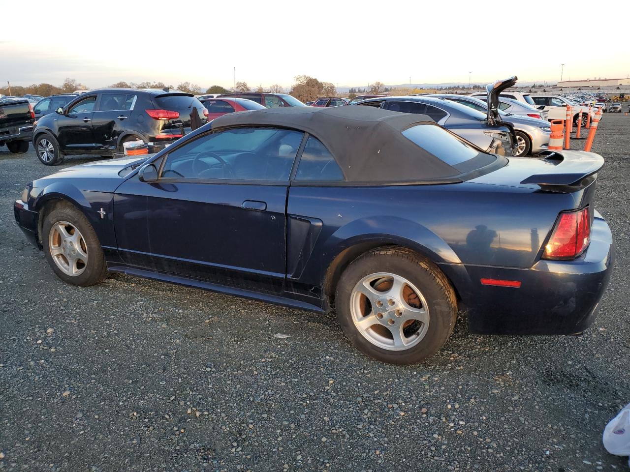 Lot #3028611931 2002 FORD MUSTANG