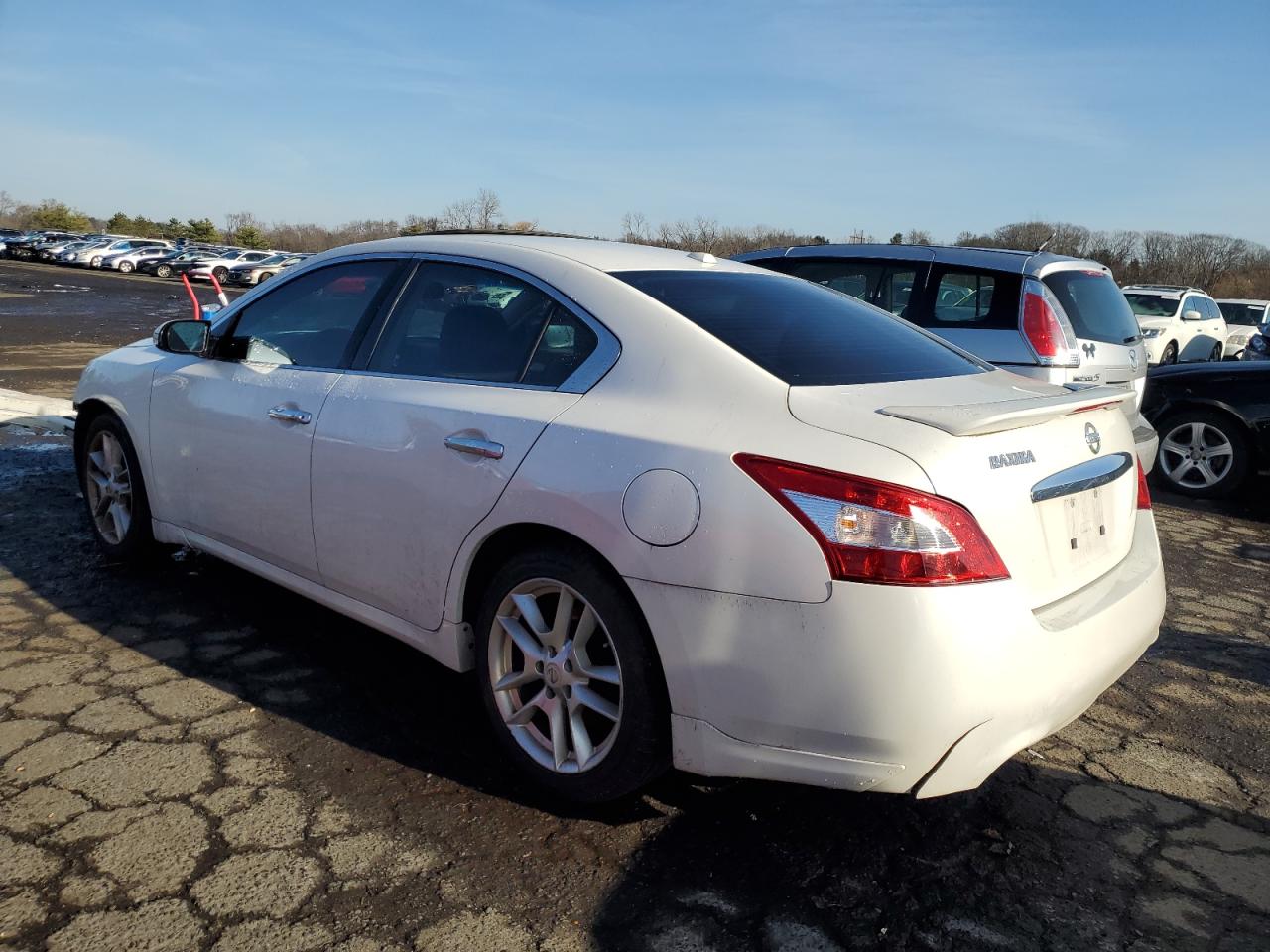 Lot #3034279224 2010 NISSAN MAXIMA S