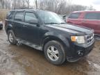 Lot #3041055429 2010 FORD ESCAPE XLT