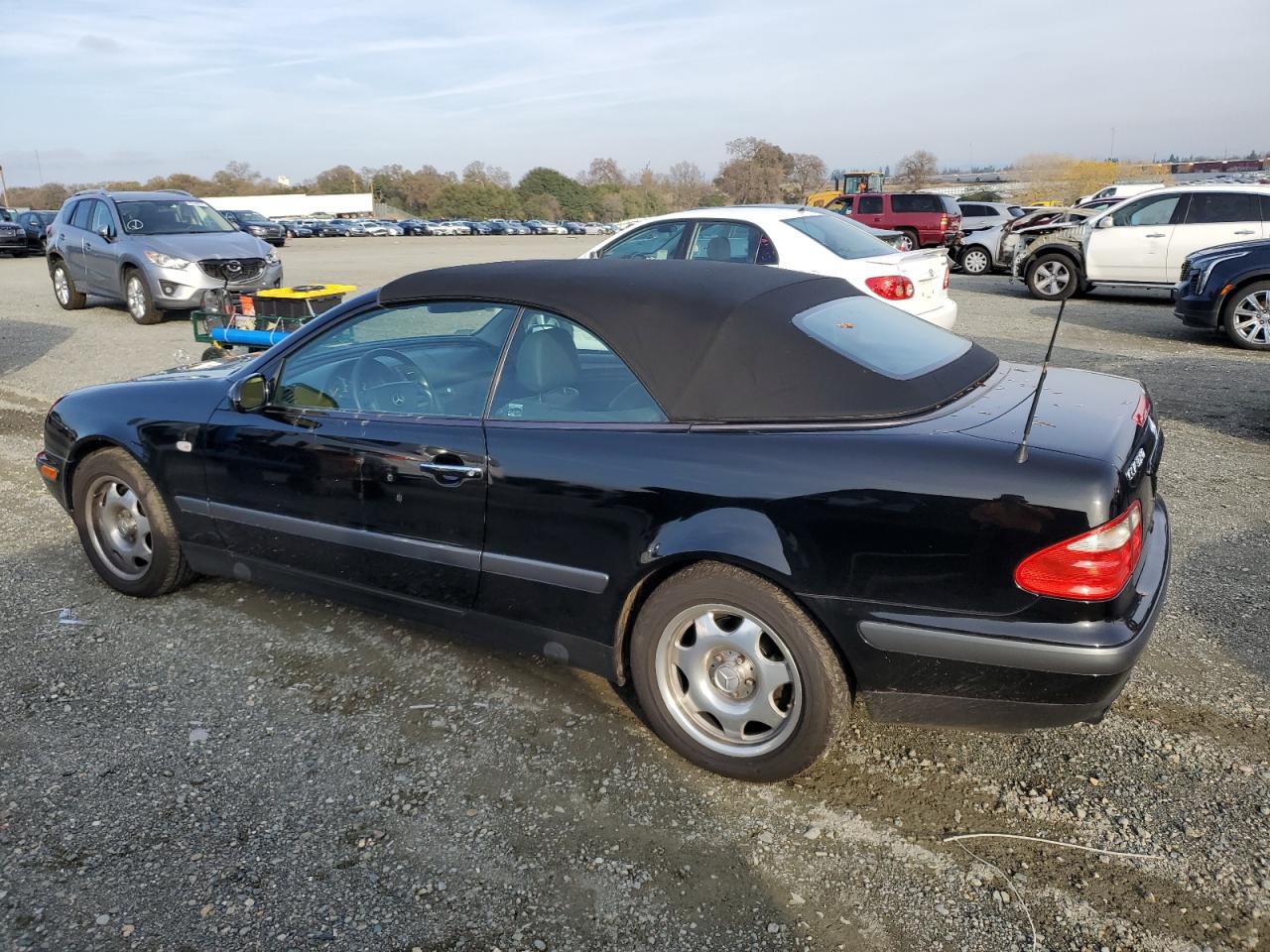 Lot #3042087199 1999 MERCEDES-BENZ CLK 320