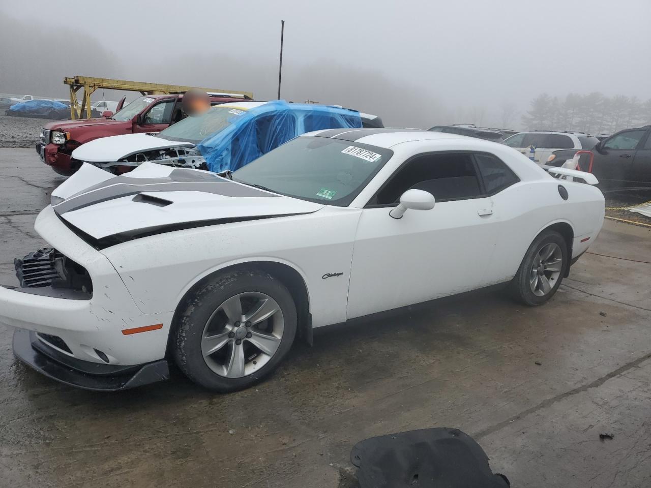 Lot #3034588747 2016 DODGE CHALLENGER