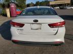 Lot #3040970422 2016 KIA OPTIMA EX