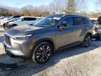 2023 INFINITI QX60 LUXE - 5N1DL1FS8PC372181