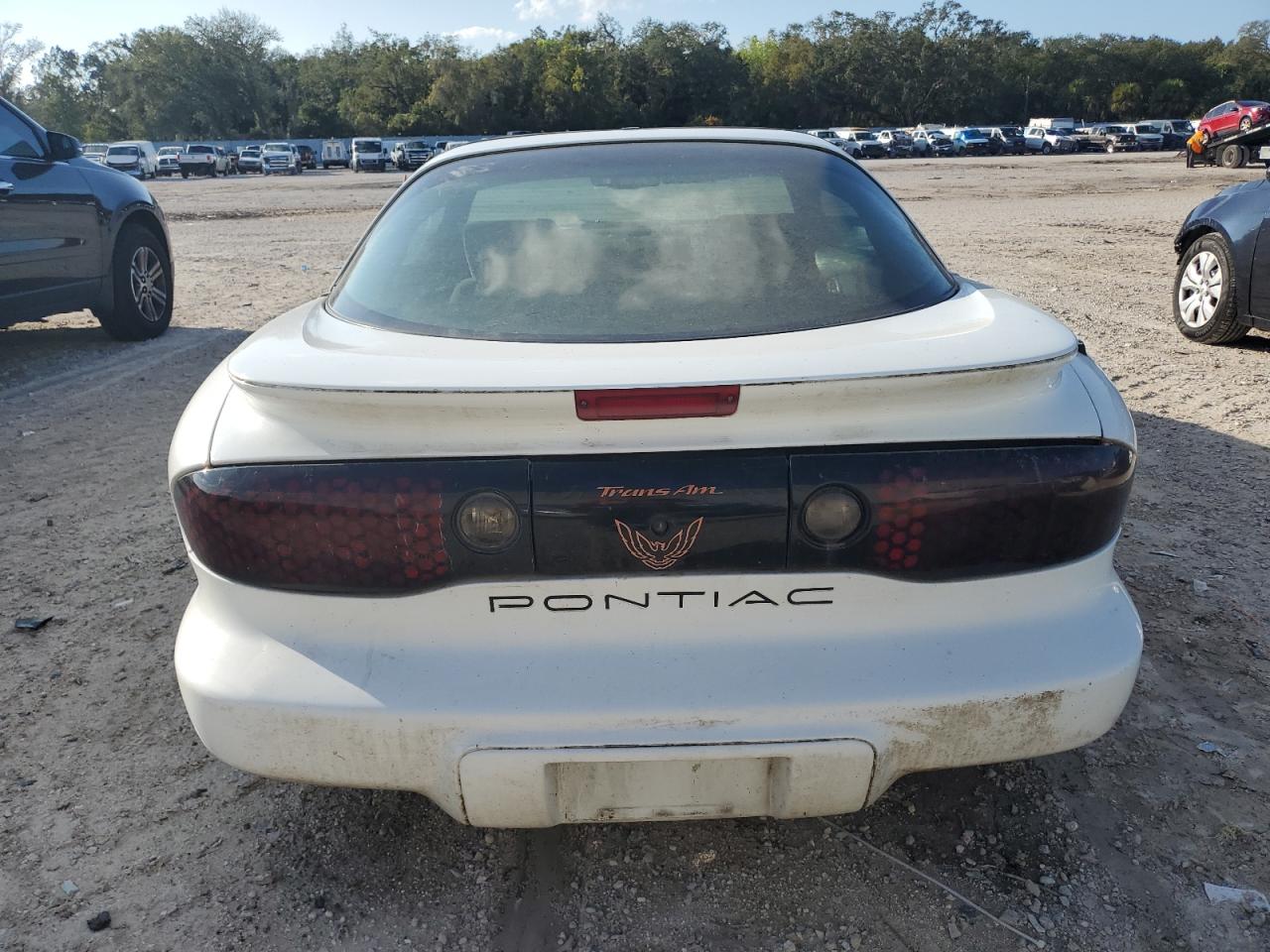 Lot #3045678650 1998 PONTIAC FIREBIRD