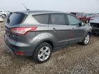 Lot #3024057666 2014 FORD ESCAPE SE