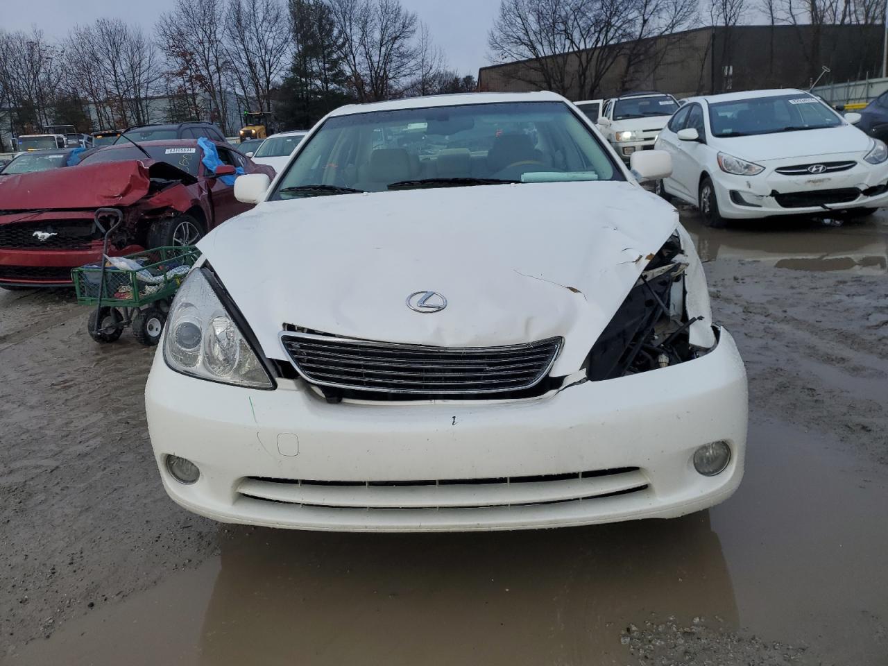 Lot #3031304694 2006 LEXUS ES 330