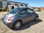 Lot #3023783890 2005 VOLKSWAGEN NEW BEETLE