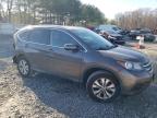 Lot #3023798922 2014 HONDA CR-V EXL