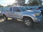 Lot #3025169266 2005 TOYOTA TACOMA PRE