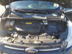 Lot #3023396305 2015 FORD ESCAPE SE