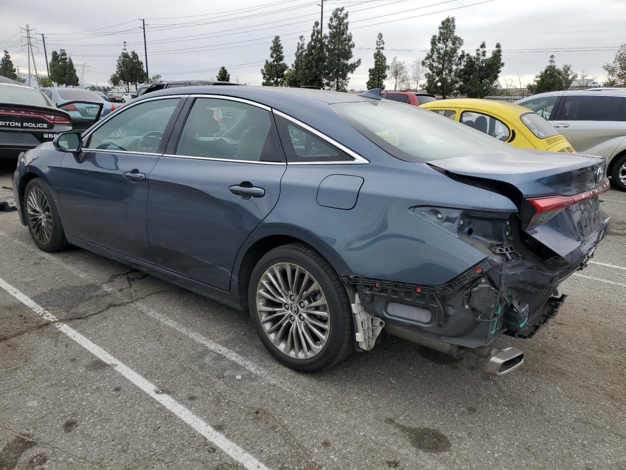 Lot #3030479460 2019 TOYOTA AVALON XLE