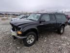 Lot #3027366864 2004 TOYOTA TACOMA XTR