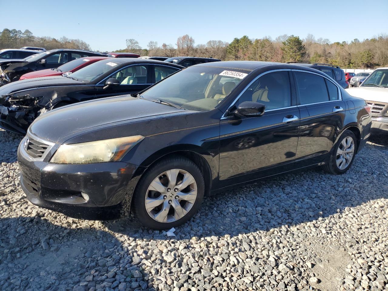 Lot #3037063744 2009 HONDA ACCORD EXL