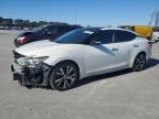 2016 NISSAN MAXIMA 3.5 - 1N4AA6AP7GC407134