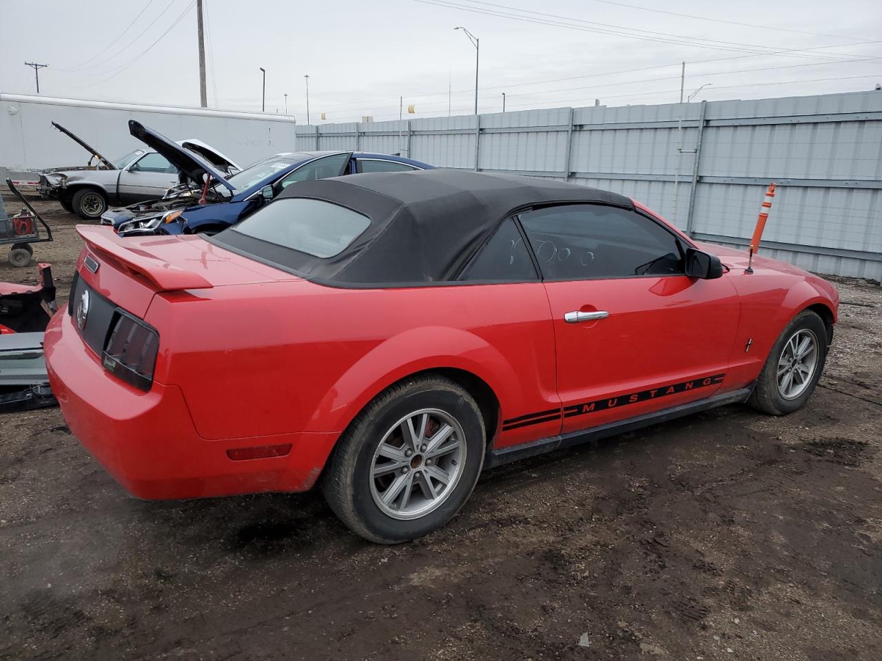 Lot #3030495474 2005 FORD MUSTANG