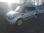 Lot #3041902851 2013 KIA SOUL +