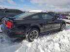 Lot #3024327045 2006 FORD MUSTANG