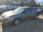 Lot #3025074269 2005 TOYOTA CAMRY LE