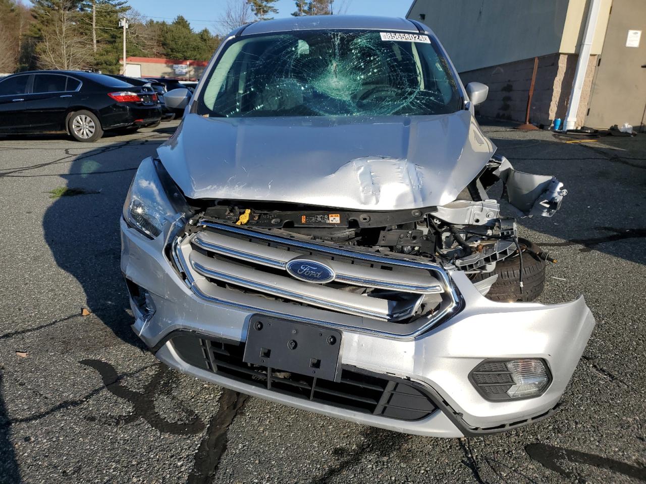 Lot #3034416096 2019 FORD ESCAPE SE