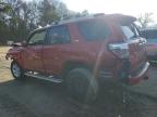 Lot #3033039008 2024 TOYOTA 4RUNNER SR