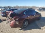 Lot #3024821365 2013 NISSAN MAXIMA S