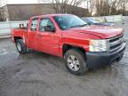 Lot #3041790430 2009 CHEVROLET SILVERADO