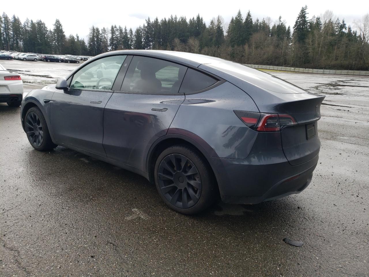 Lot #3034519738 2023 TESLA MODEL Y