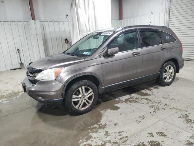 HONDA CR-V EXL 2010 gray  gas 5J6RE4H7XAL067927 photo #1