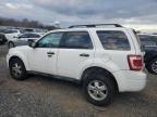 Lot #3024428551 2012 FORD ESCAPE