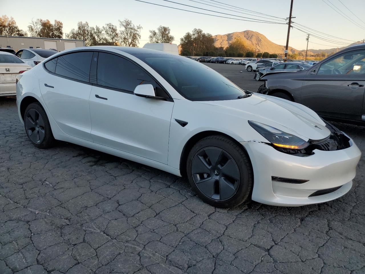 Lot #3025699311 2023 TESLA MODEL 3