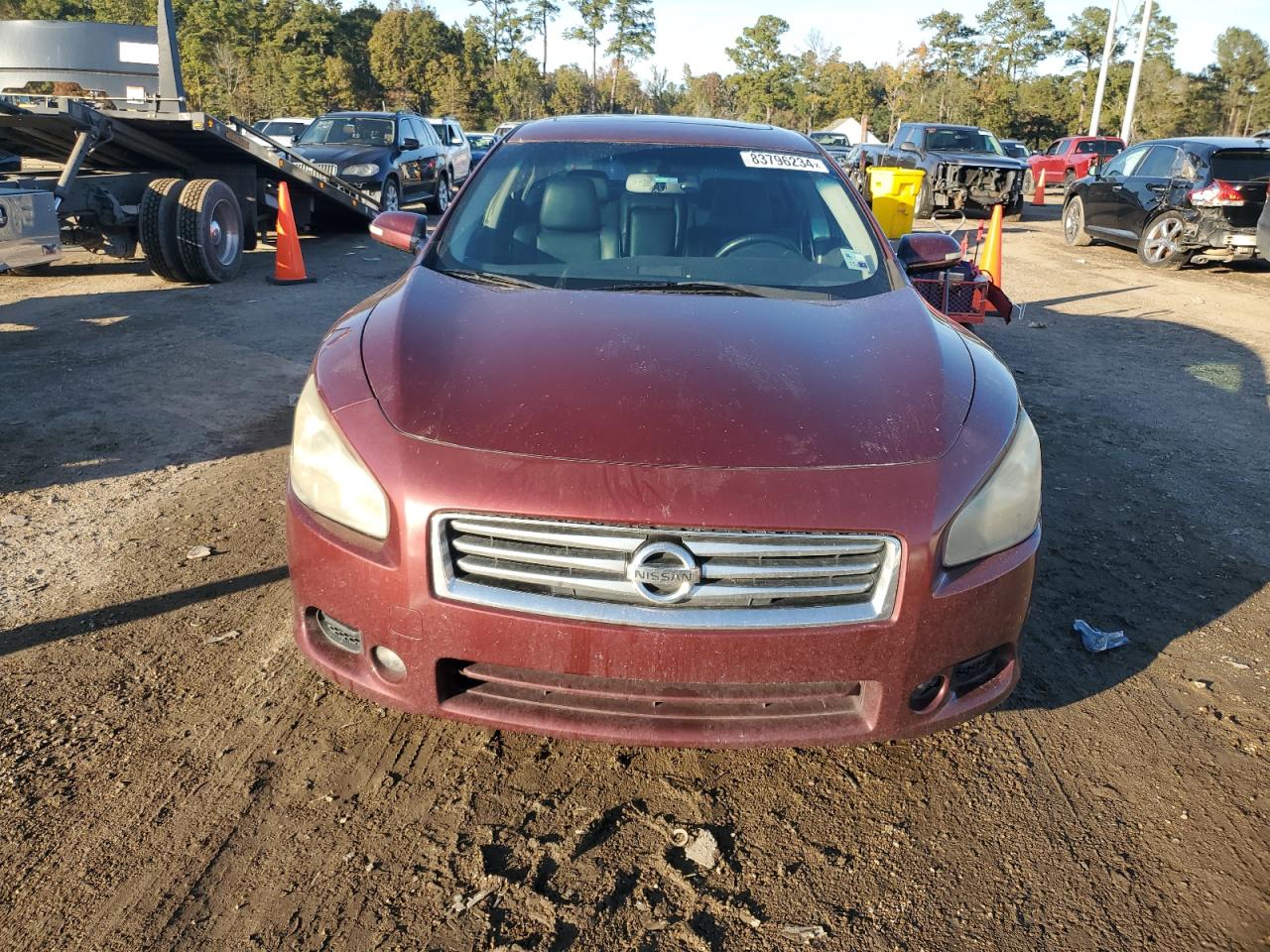 Lot #3030433460 2013 NISSAN MAXIMA