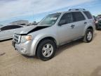 Lot #3024226799 2010 FORD ESCAPE XLT