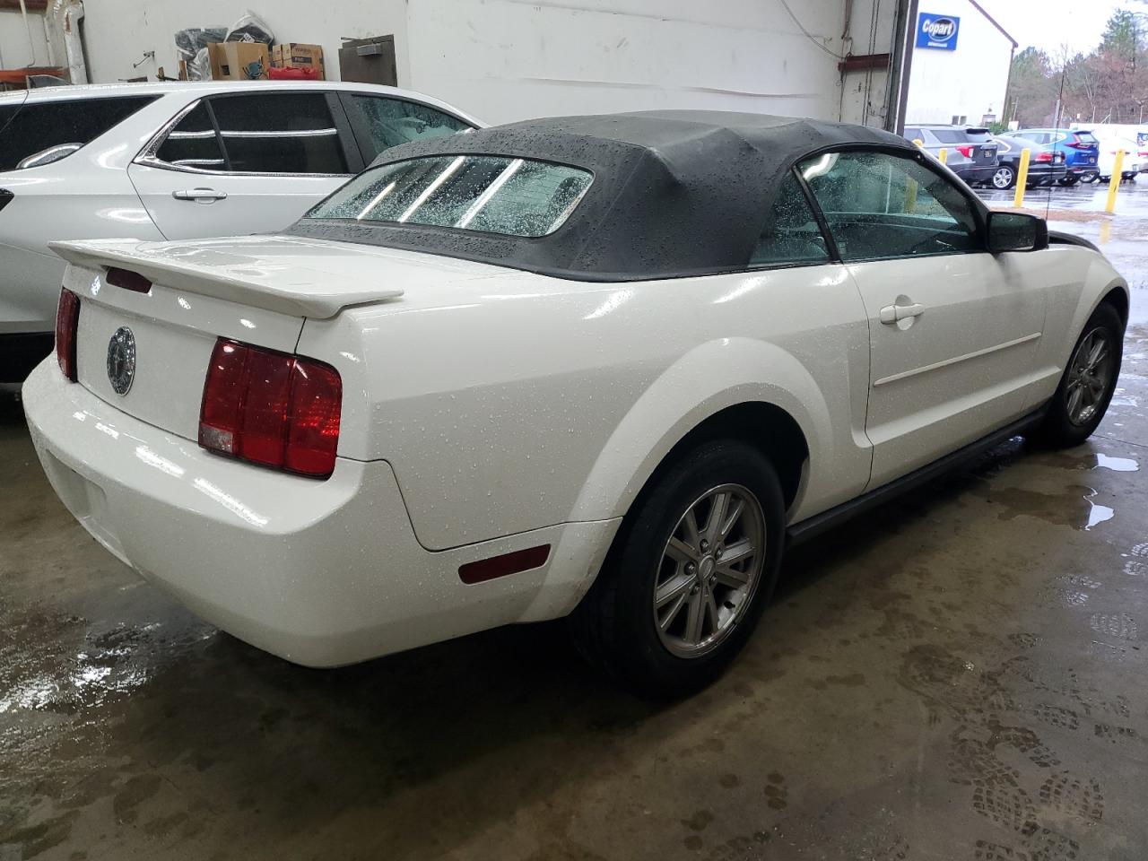 Lot #3024676691 2007 FORD MUSTANG