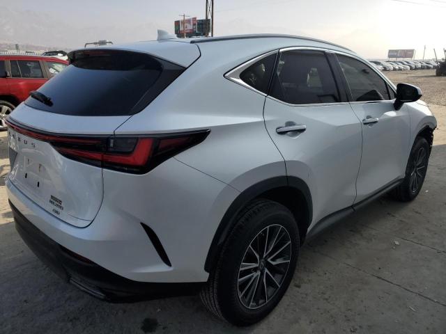2023 LEXUS NX 250 JTJADCEZ7P2002342