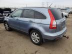 Lot #3030424460 2007 HONDA CR-V EXL