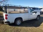 Lot #3024803453 2021 CHEVROLET SILVERADO