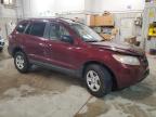 Lot #3025137220 2009 HYUNDAI SANTA FE G