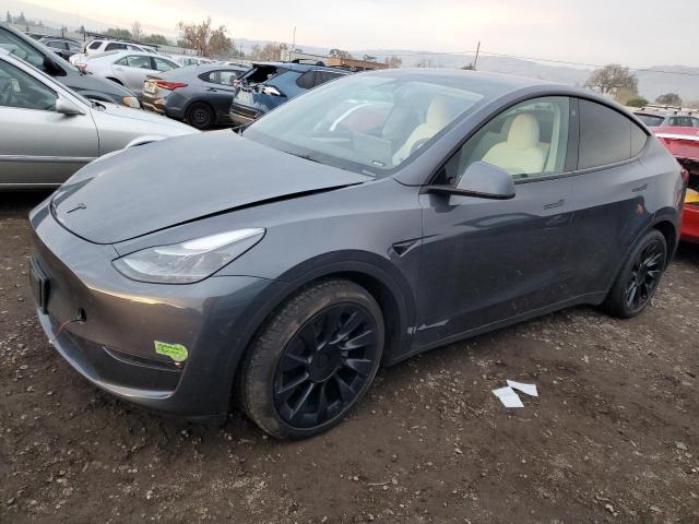 TESLA MODEL Y 2023 gray  electric 7SAYGDEEXPF755939 photo #1