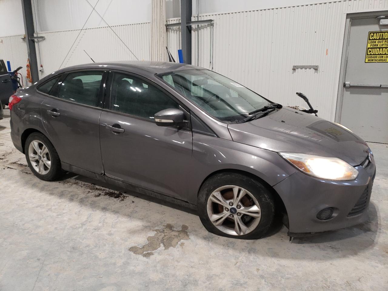 Lot #3042065184 2014 FORD FOCUS SE