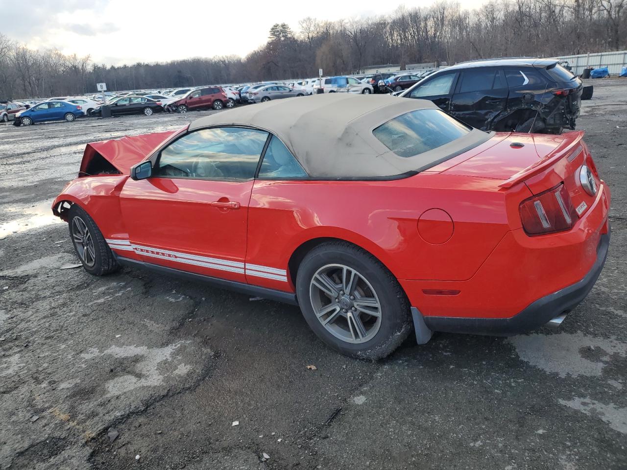 Lot #3028569917 2012 FORD MUSTANG